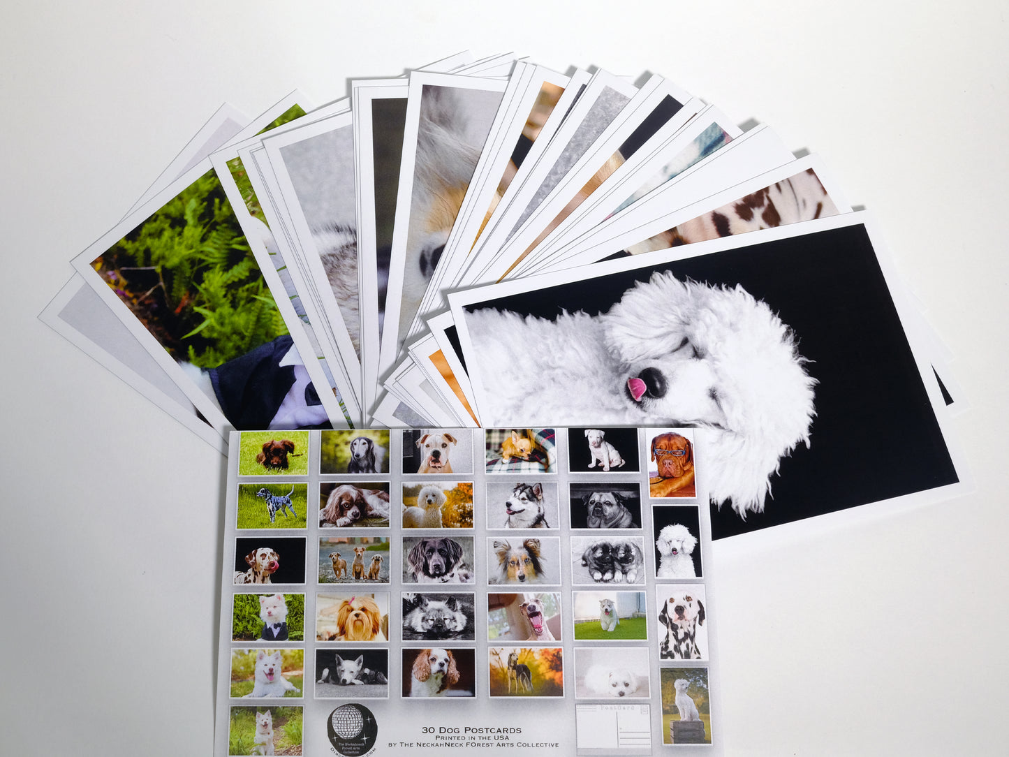 Dogs and Puppies Postcards - Set of 30