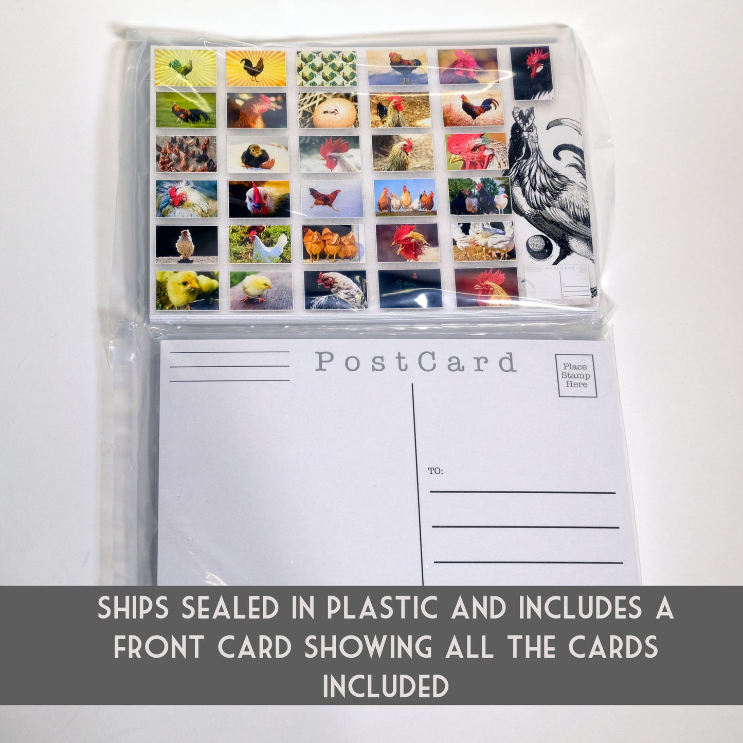 Chicken Postcards - Set of 31