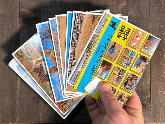 Alpaca Farm Postcards - Set of 10