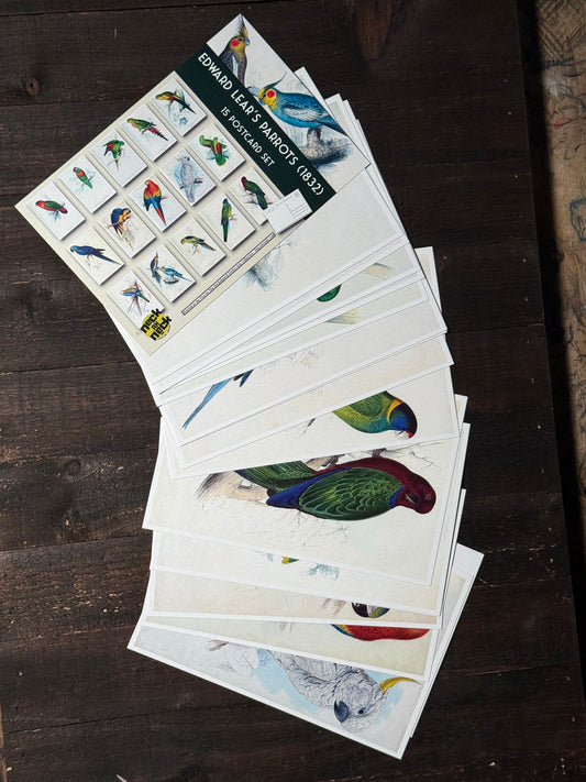 Parrots Postcards - Set of 15