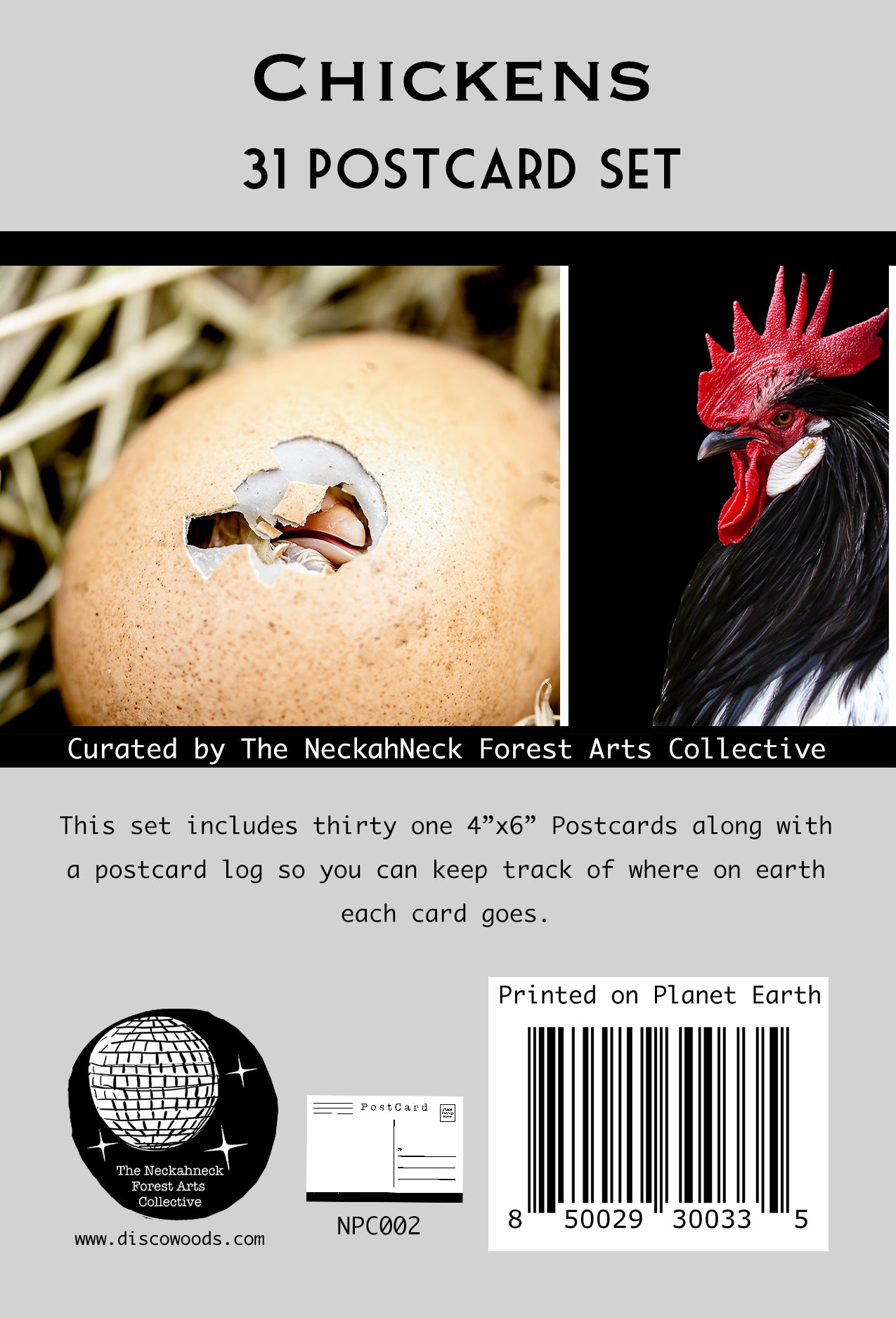 Chicken Postcards - Set of 31