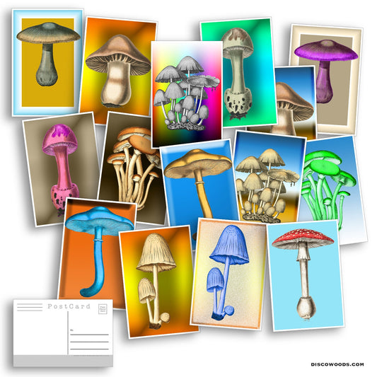 Magical Mushroom Postcards - Set of 20