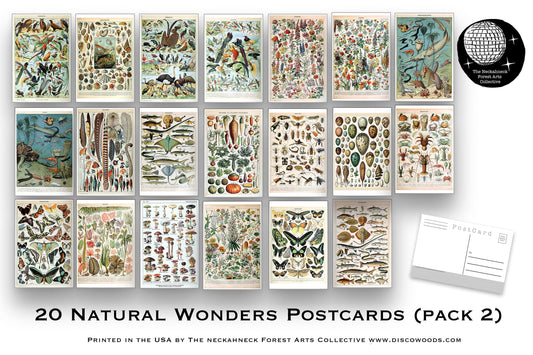 Natural Wonders Postcards Pack (2) - Set of 20