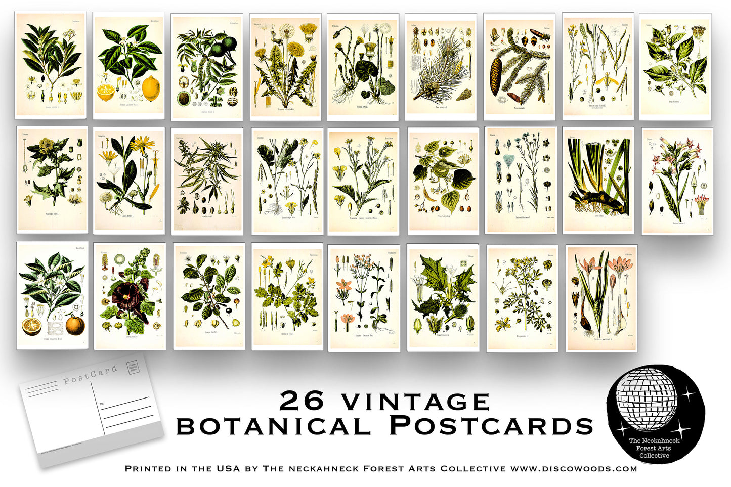 Vintage Botanical Postcards - Set of 26