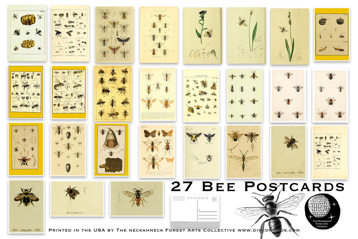 Bees Postcard Set - Set of 27 Postcards - Vintage - Nature - Scrapbooking Post Cards - Honey Bees - Natural Wonders