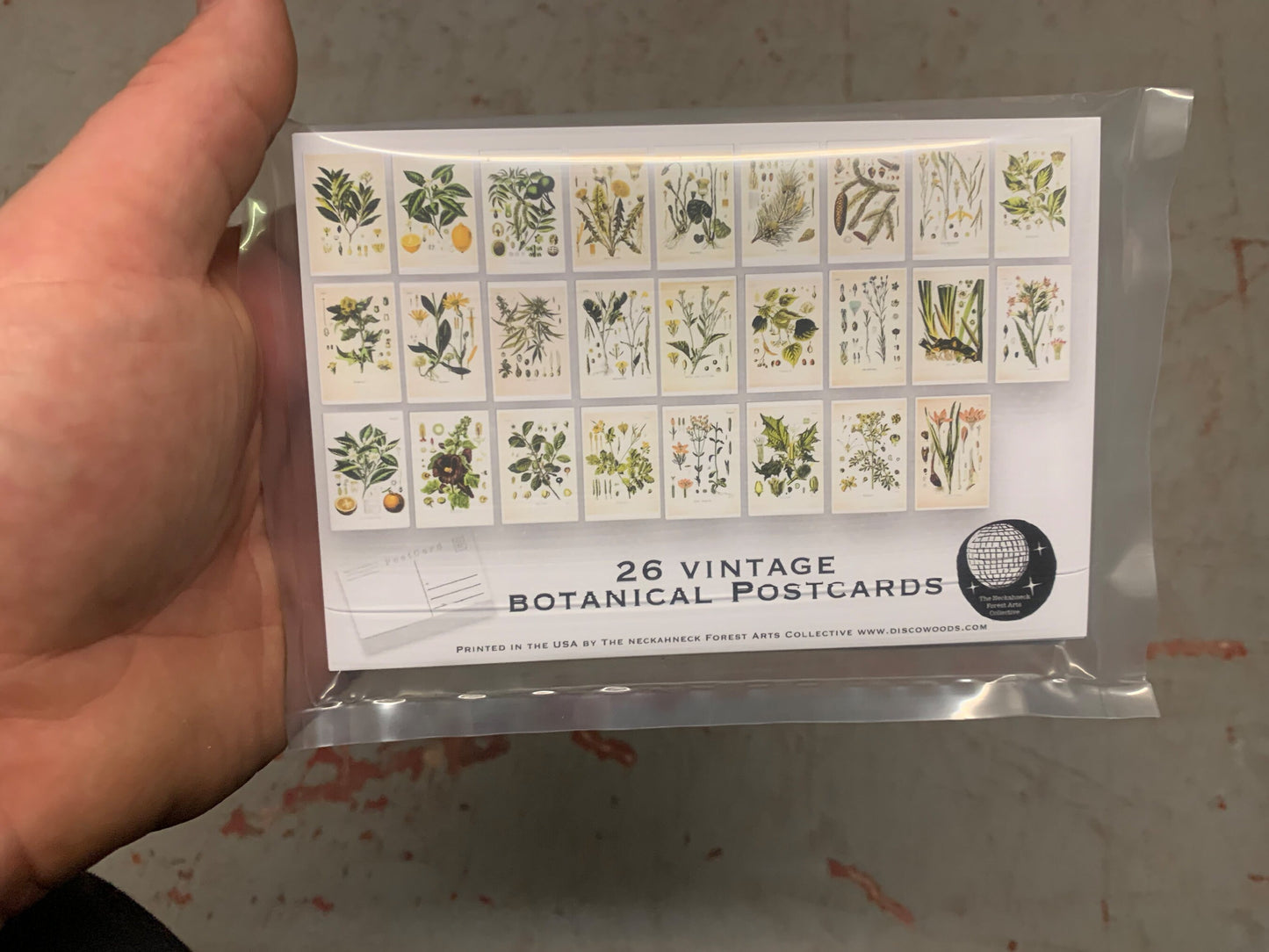 Botanical Postcard Set - Set of 26 Postcards - Vintage - Nature - Scrapbooking Post Cards - plant drawings - Natural Wonders