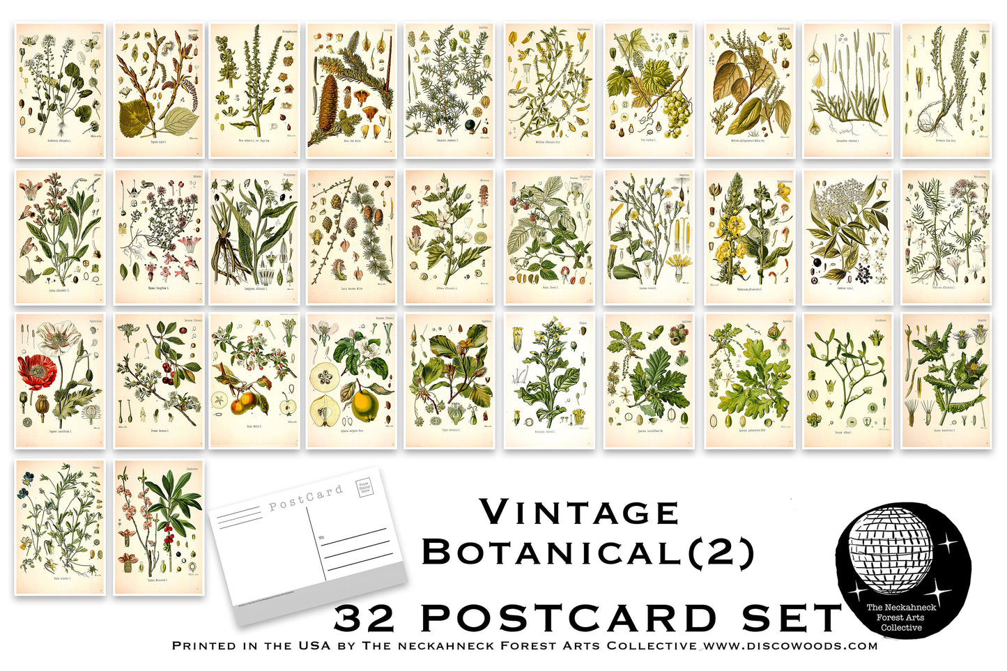Botanical Postcard Pack(2) - Set of 32