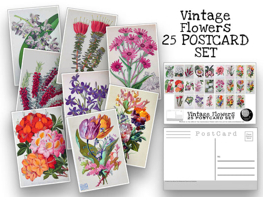 Vintage Flower Postcards - Set of 25