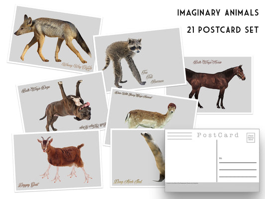 Wrong Animals Postcards - Set of 21
