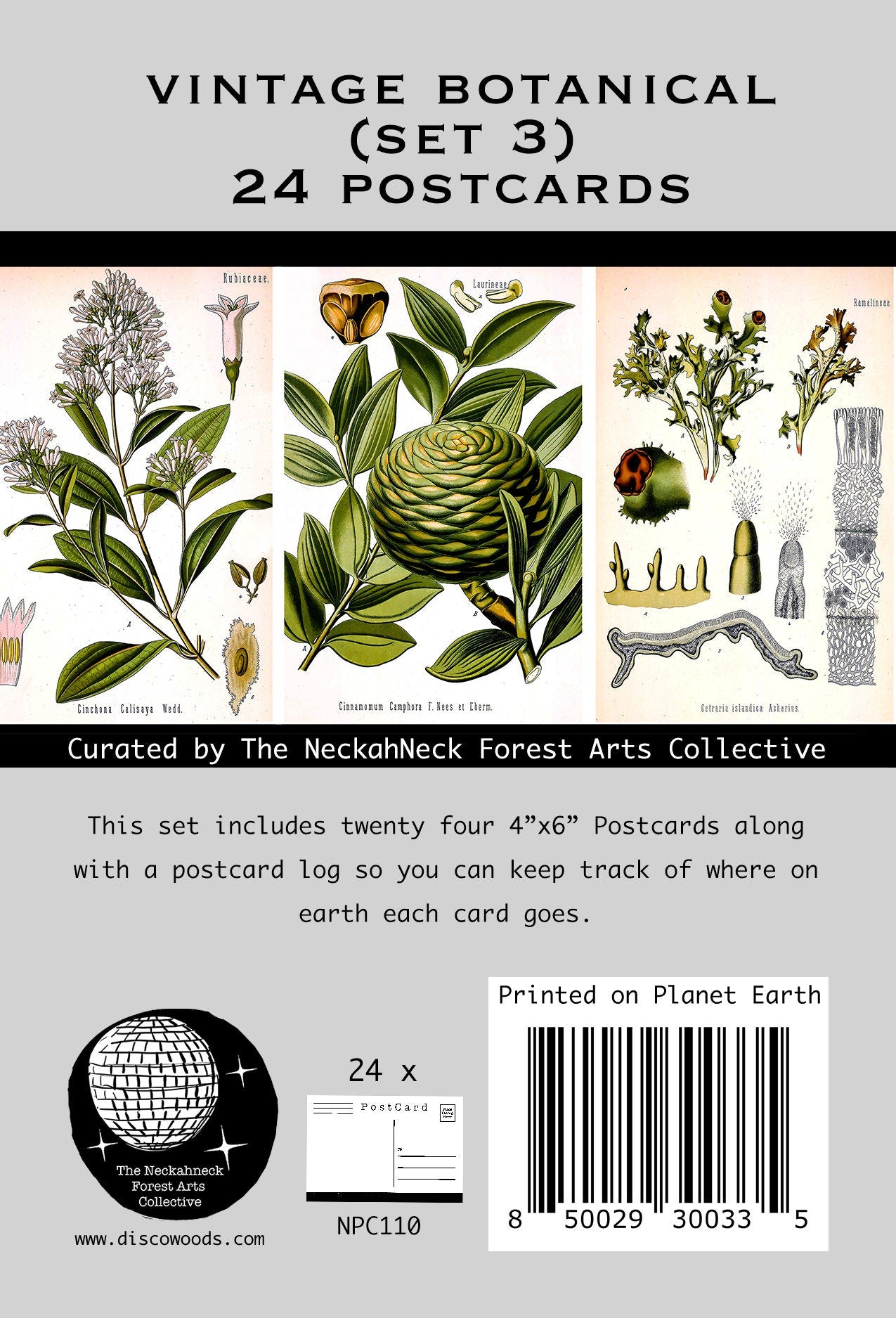 Botanical Postcards Set(3) - Set of 24