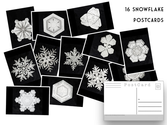 Wilson Bentley Snowflake Postcards - Set of 16