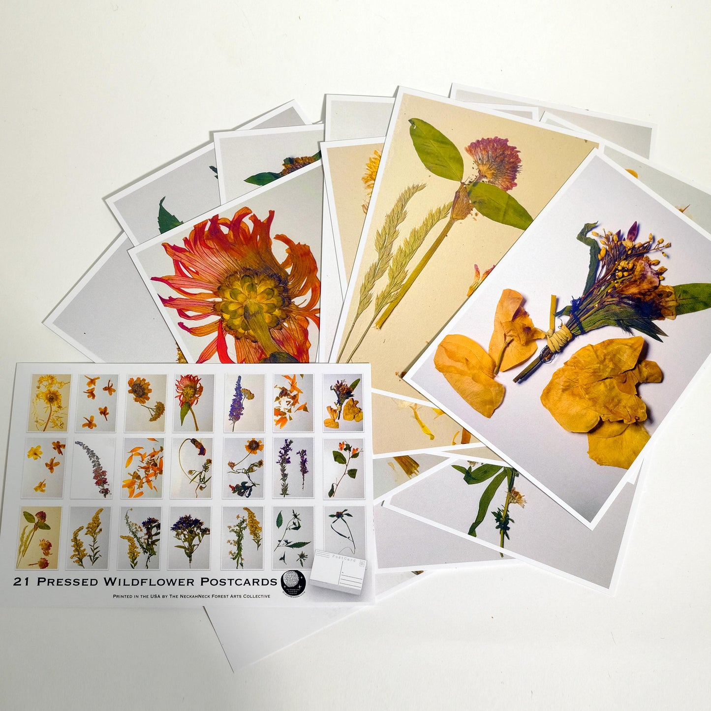Pressed Wildflower Postcards – Set of 21