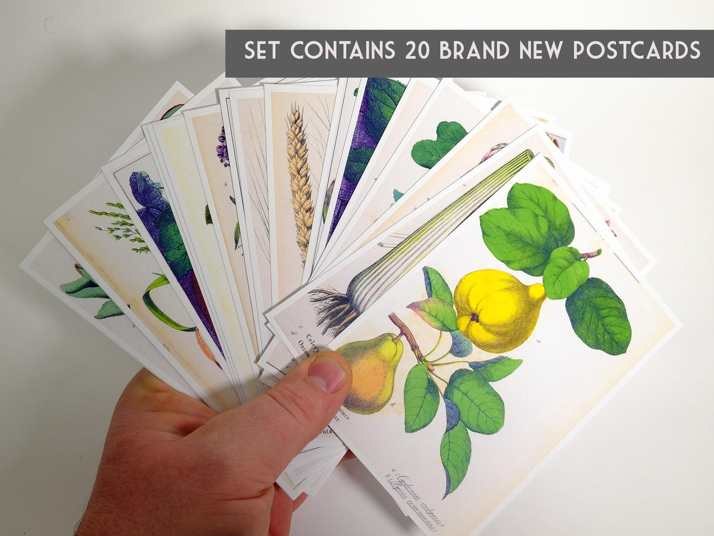 Vegetable Garden Postcards – Set of 20