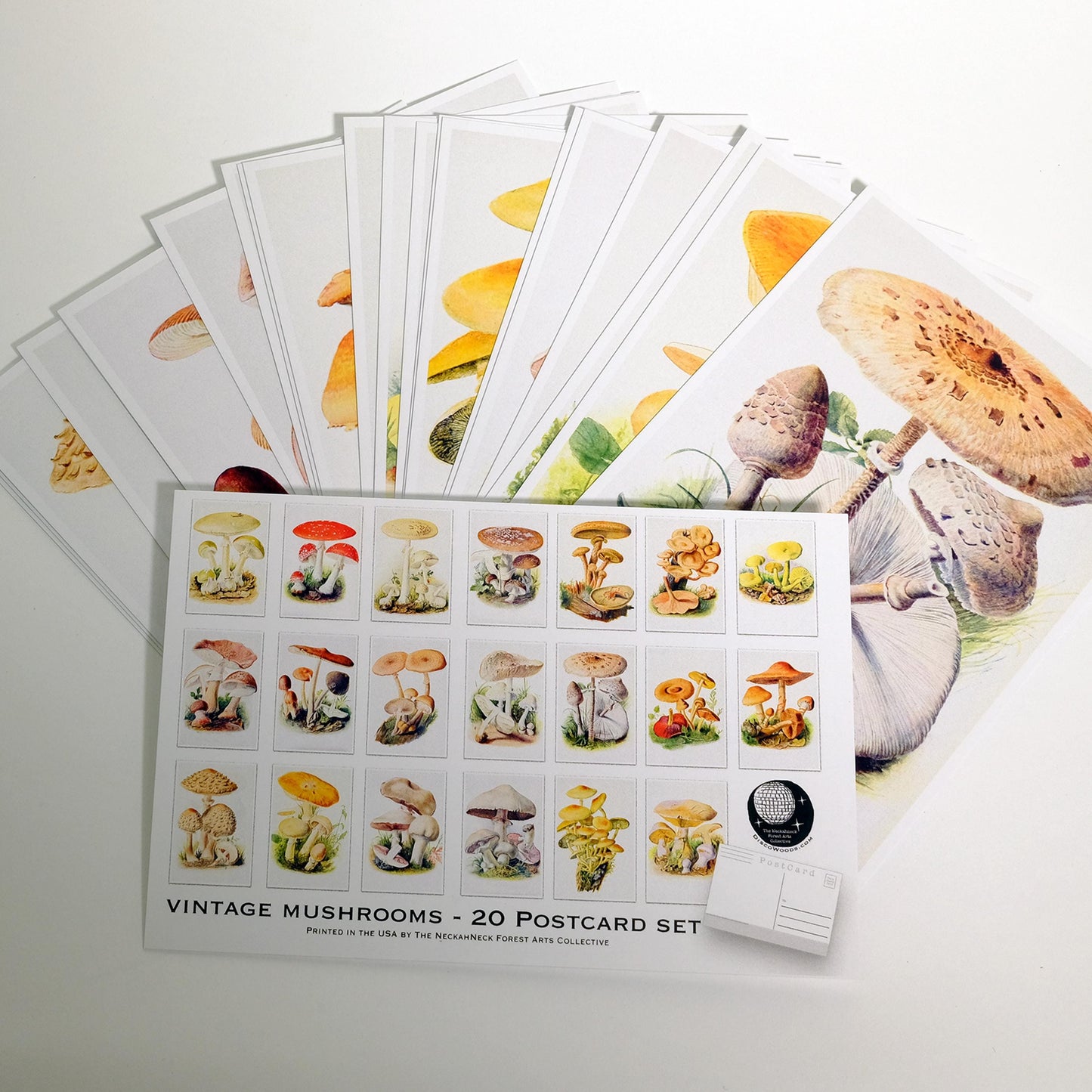 Vintage Mushroom Postcards – Set of 20