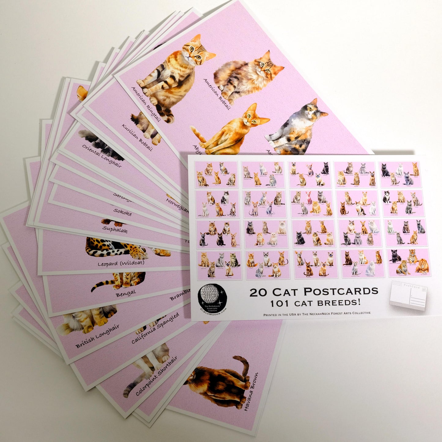 101 Cat Breeds Postcards – Set of 20
