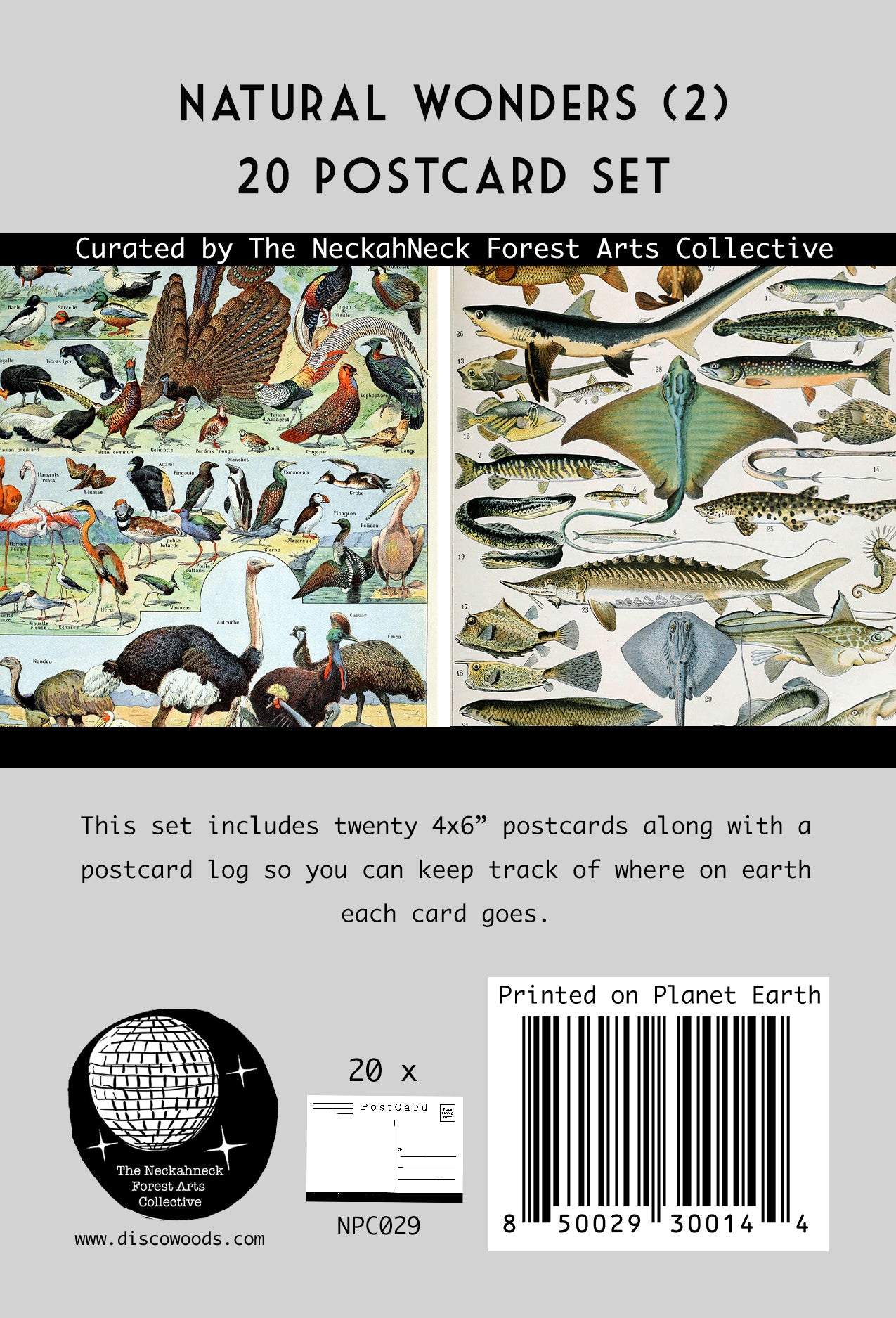 Natural Wonders Postcards Pack (2) - Set of 20