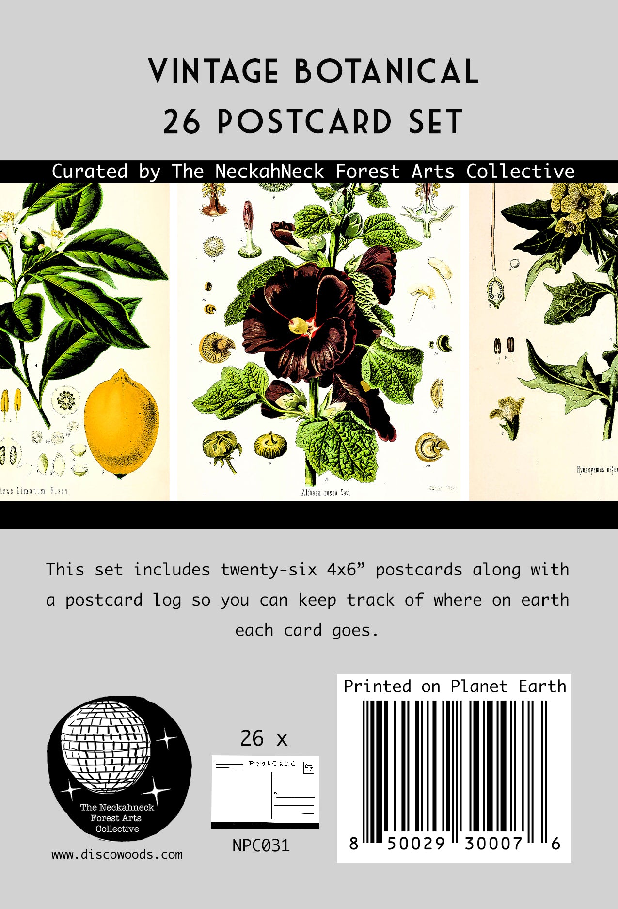 Vintage Botanical Postcards - Set of 26