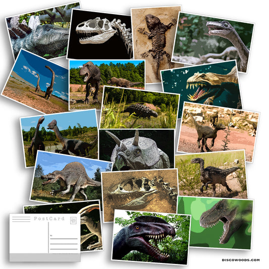 Dinosaur Postcard Set - Set of 27 Postcards - Dinosaur - Invitations - Scrapbooking Post Cards - Adventure - Fun for kids of all ages