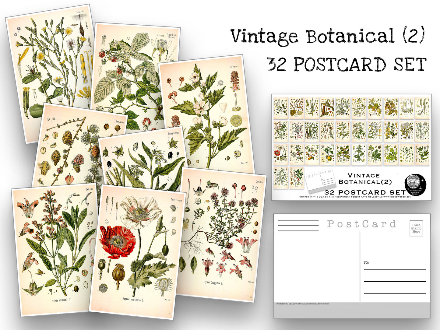 Botanical Postcard Set(2) - Set of 32 Postcards - Vintage - Nature - Scrapbooking Post Cards - plant drawings - Natural Wonders