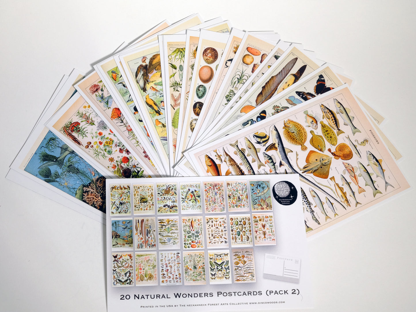 Natural Wonders Postcards Pack (2) - Set of 20