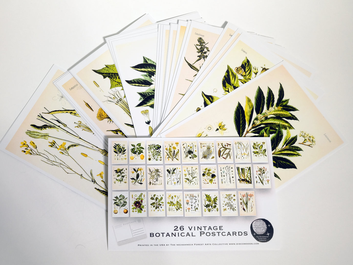 Vintage Botanical Postcards - Set of 26