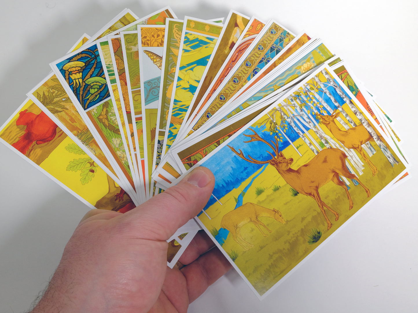 Art Nouveau Fauna Postcards - Set of 26