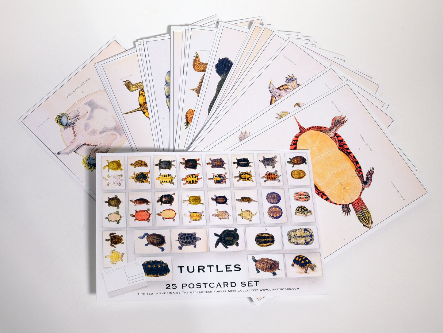 Turtle Illustrations Postcards- Set of 25