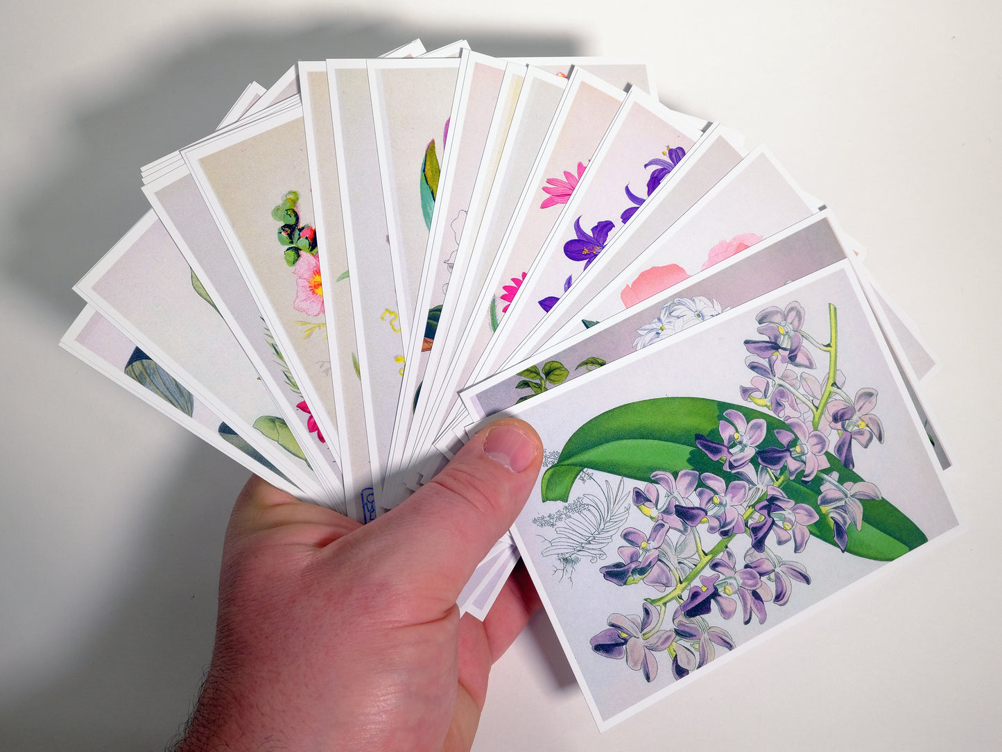 Vintage Flower Postcards - Set of 25