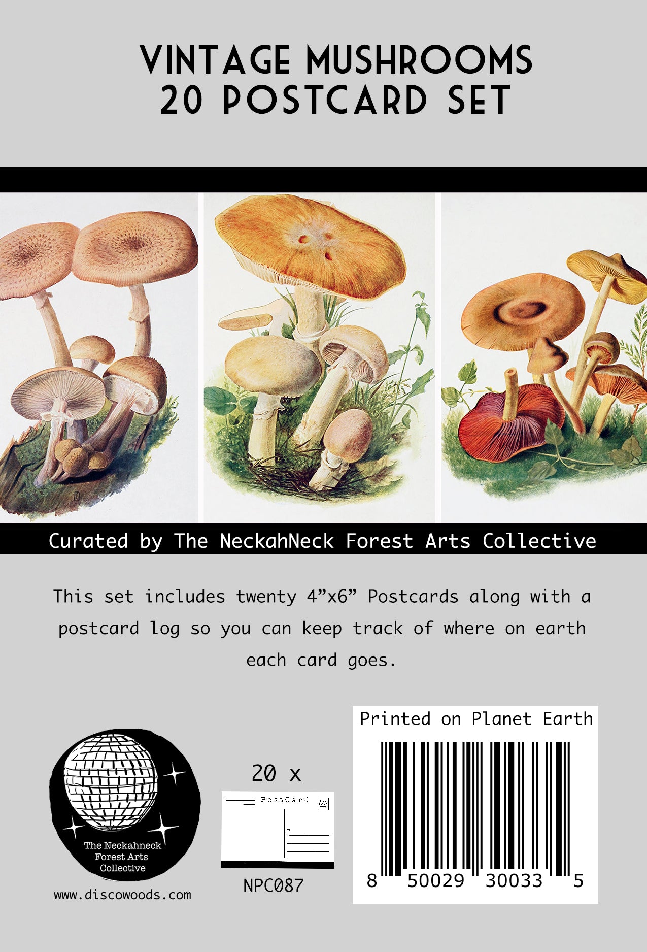 Vintage Mushroom Postcards – Set of 20