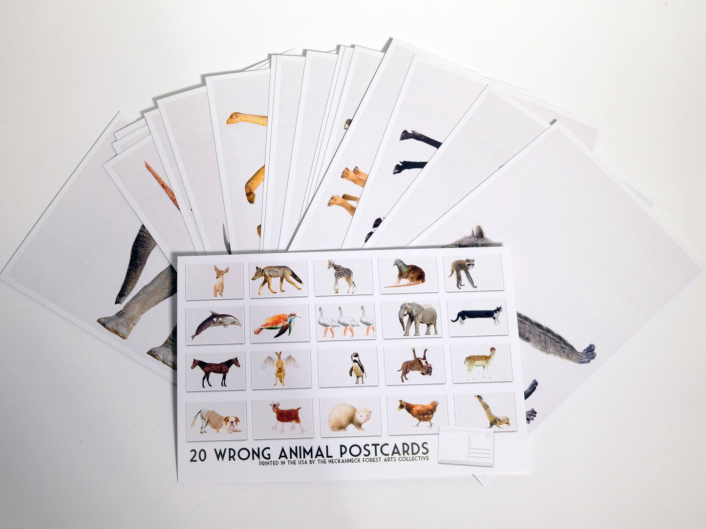 Wrong Animals Postcards - Set of 21