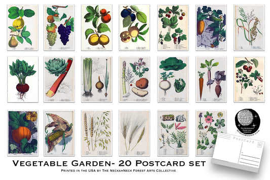 Vegetable Garden Postcards – Set of 20