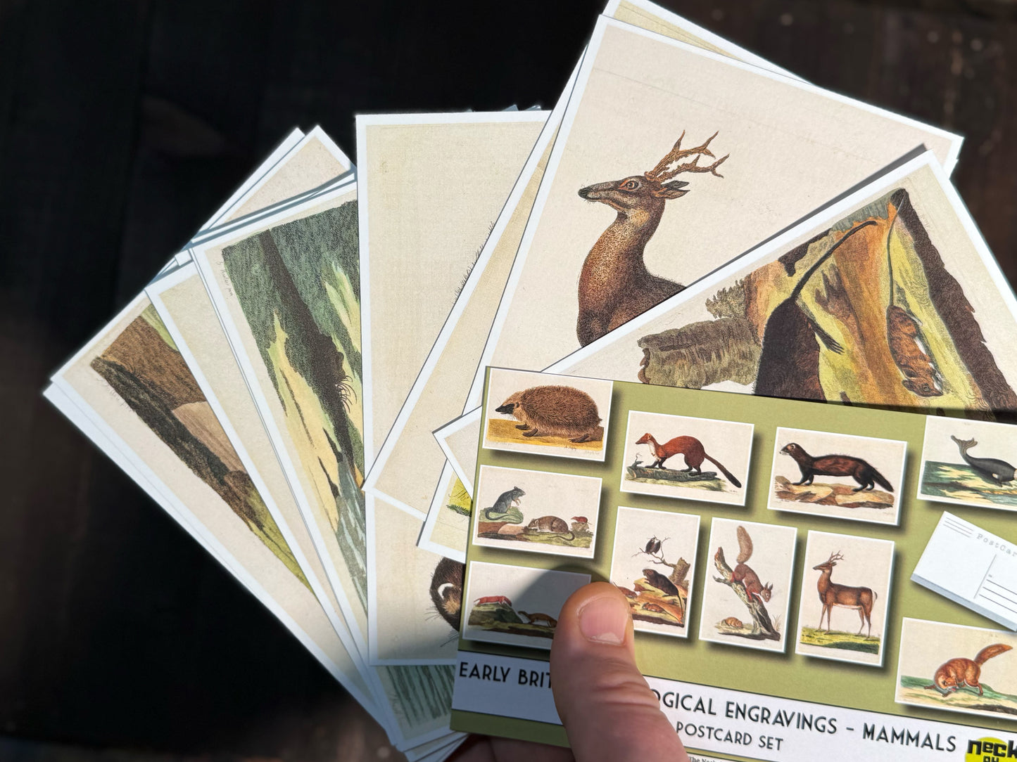Vintage Mammals Postcards - Set of 10