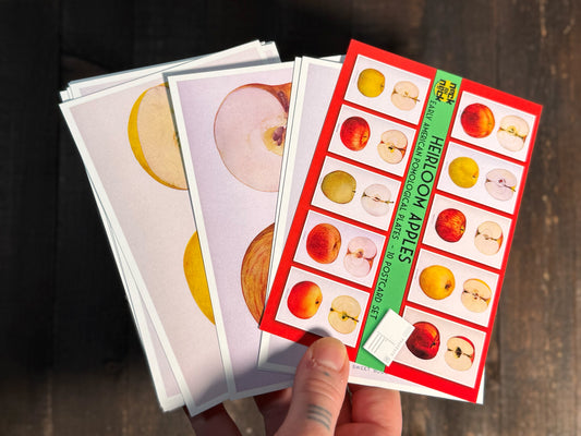 Heirloom Apples Postcards - Set of 10