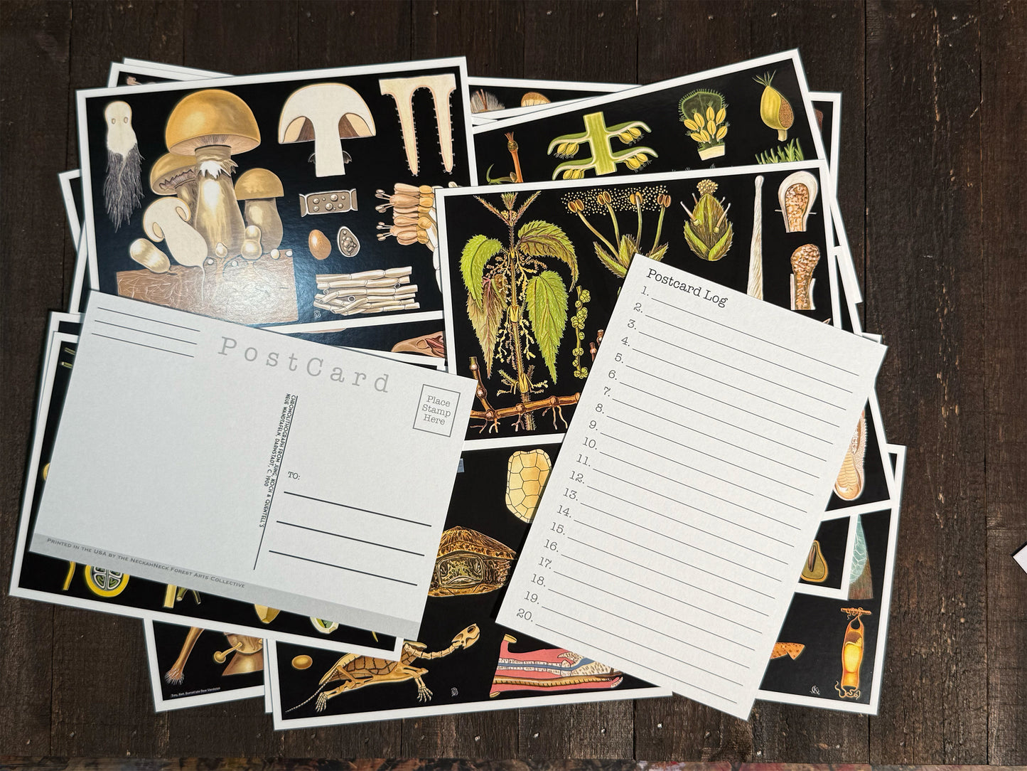 Natural Wonders Postcards Pack (3) - Set of 20