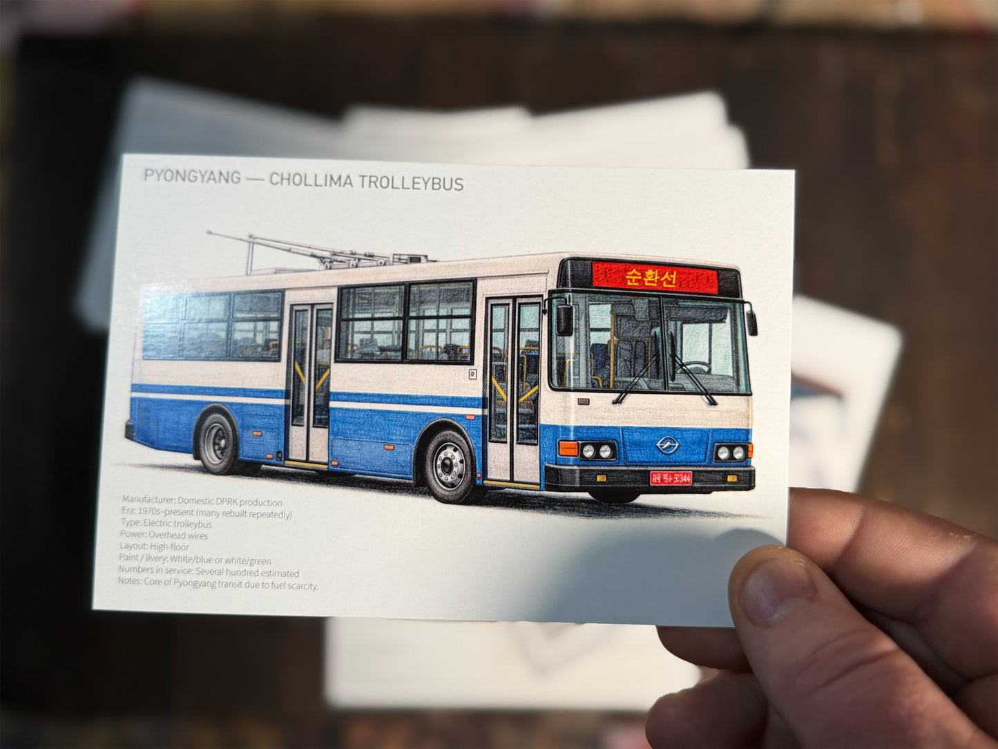 City Buses from Around the World Postcards - Set of 15
