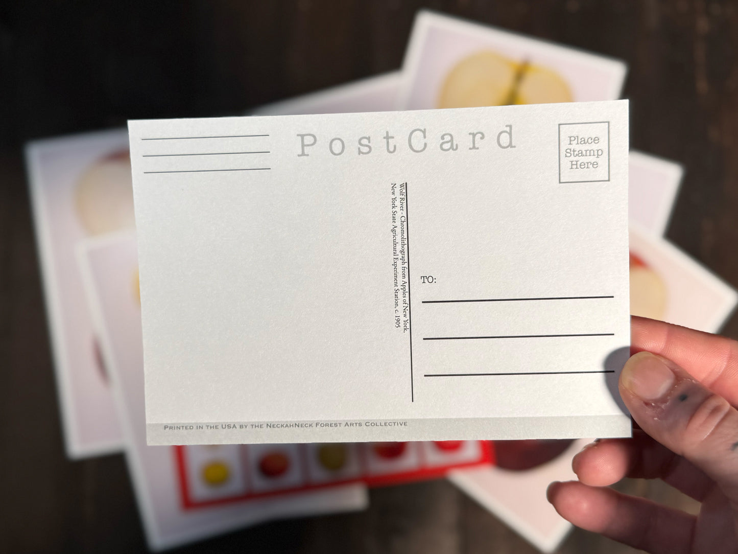 Heirloom Apples Postcards - Set of 10