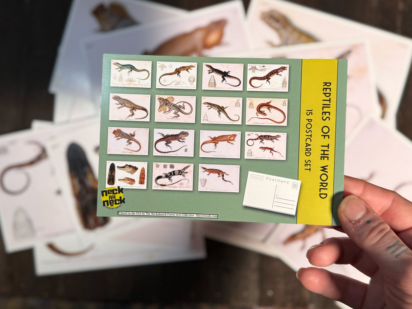 Reptiles and Lizards Postcards - Set of 15