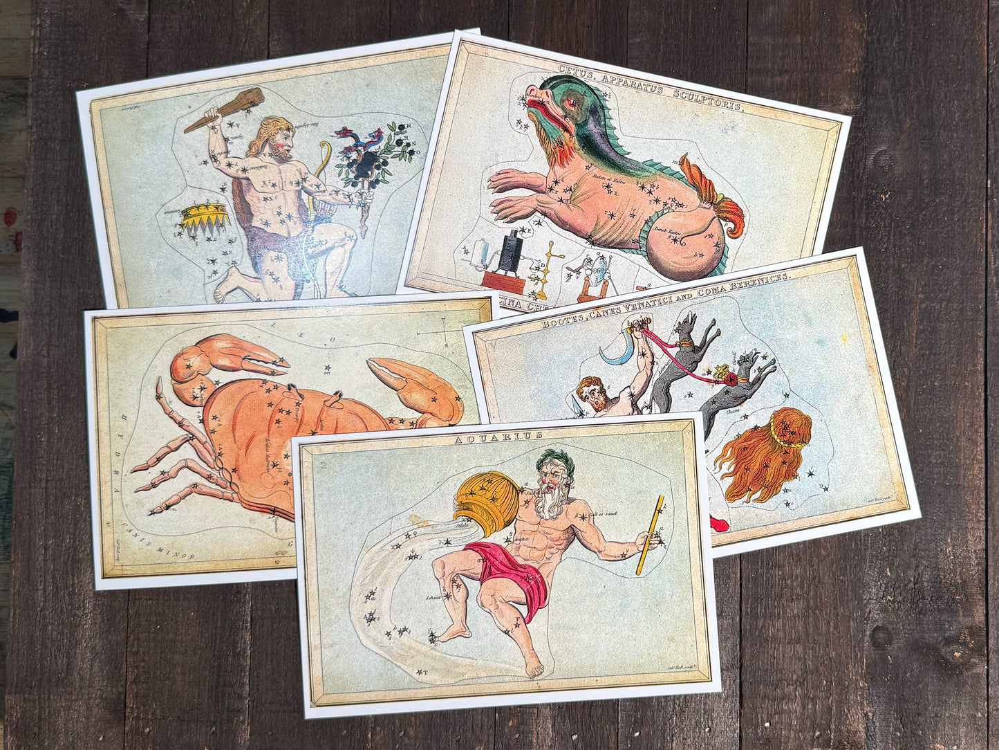 Antique Zodiac Constellation Postcards - Set of 10