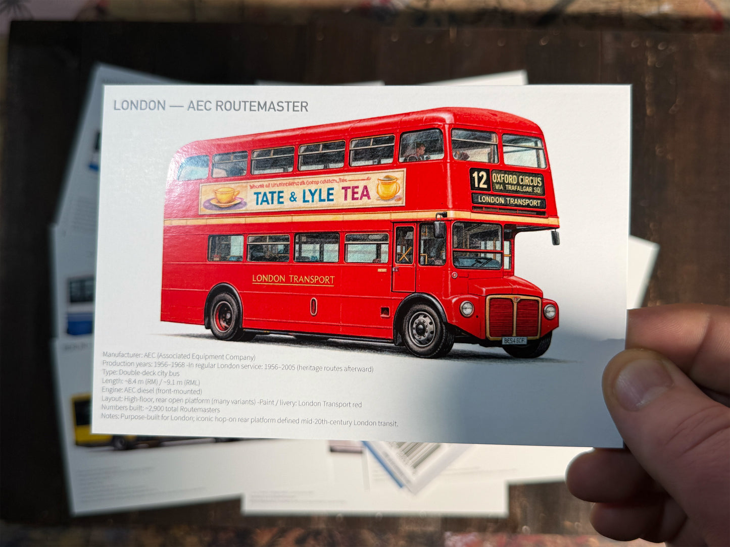 City Buses from Around the World Postcards - Set of 15