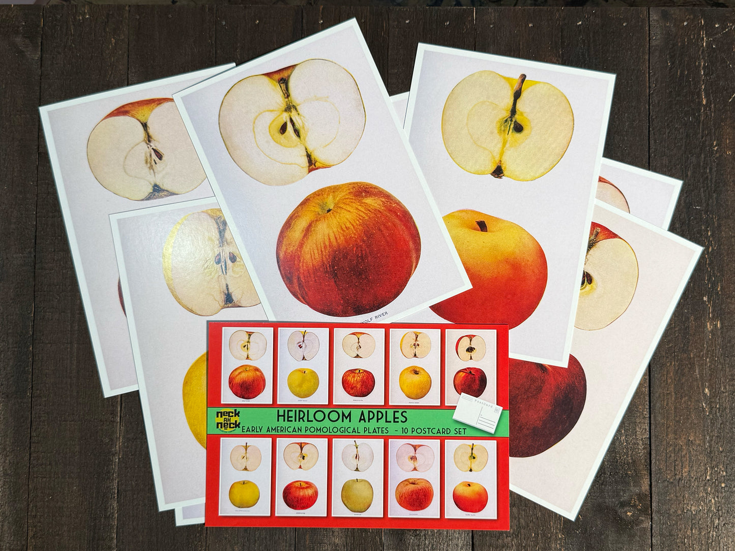 Heirloom Apples Postcards - Set of 10