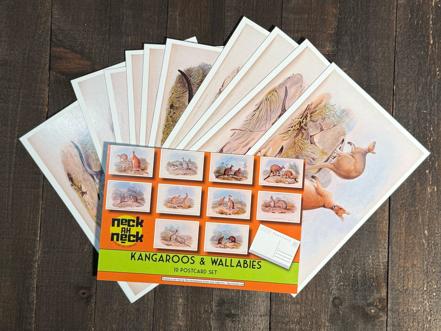 Vintage Kangaroo & Wallaby Postcards - Set of 10