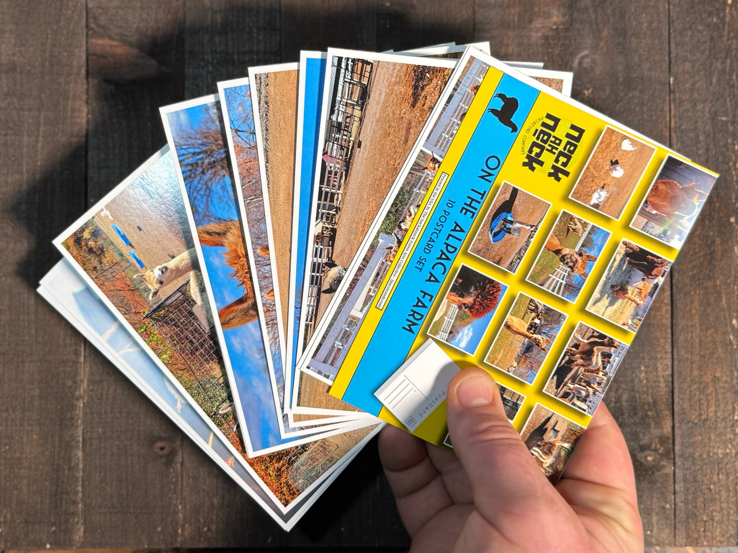 Alpaca Farm Postcards - Set of 10