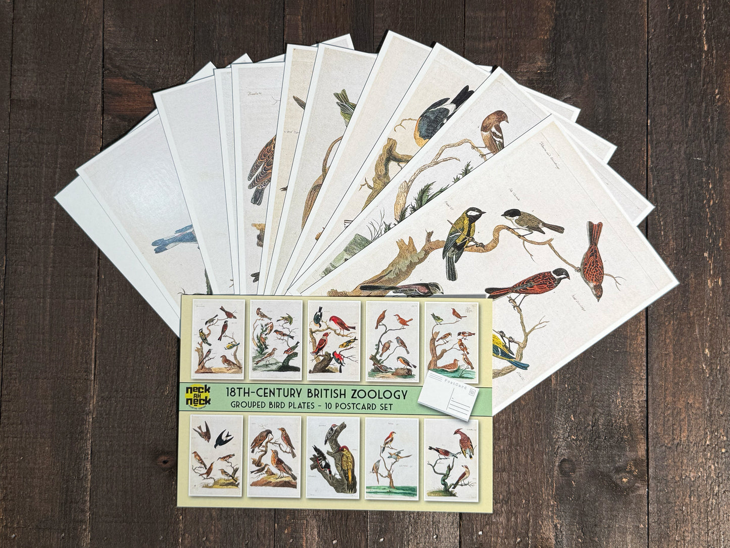 18th-Century British Bird Postcards - Set of 10