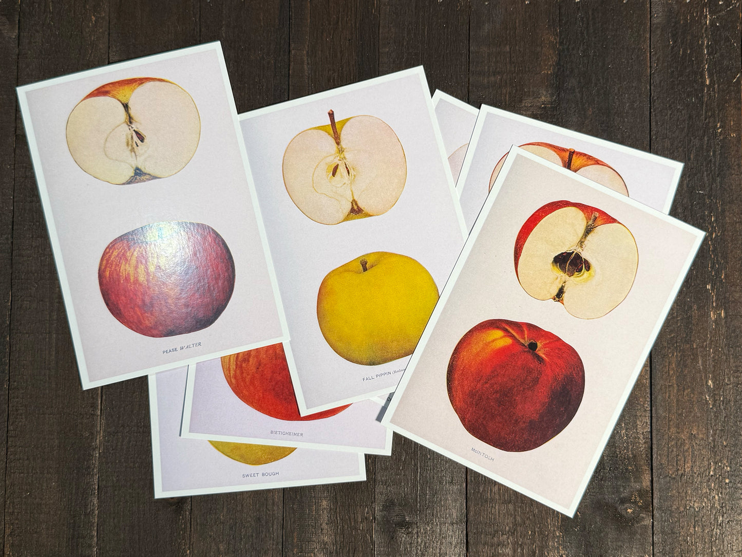 Heirloom Apples Postcards - Set of 10