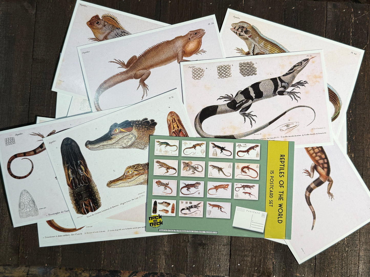 Reptiles and Lizards Postcards - Set of 15