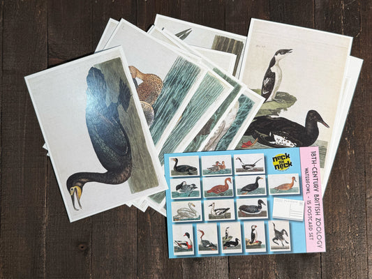 18th Century British Waterfowl Postcards - Set of 15