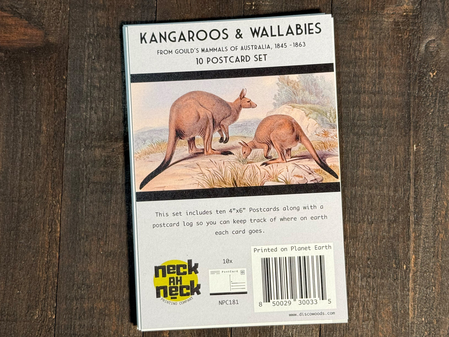 Vintage Kangaroo & Wallaby Postcards - Set of 10