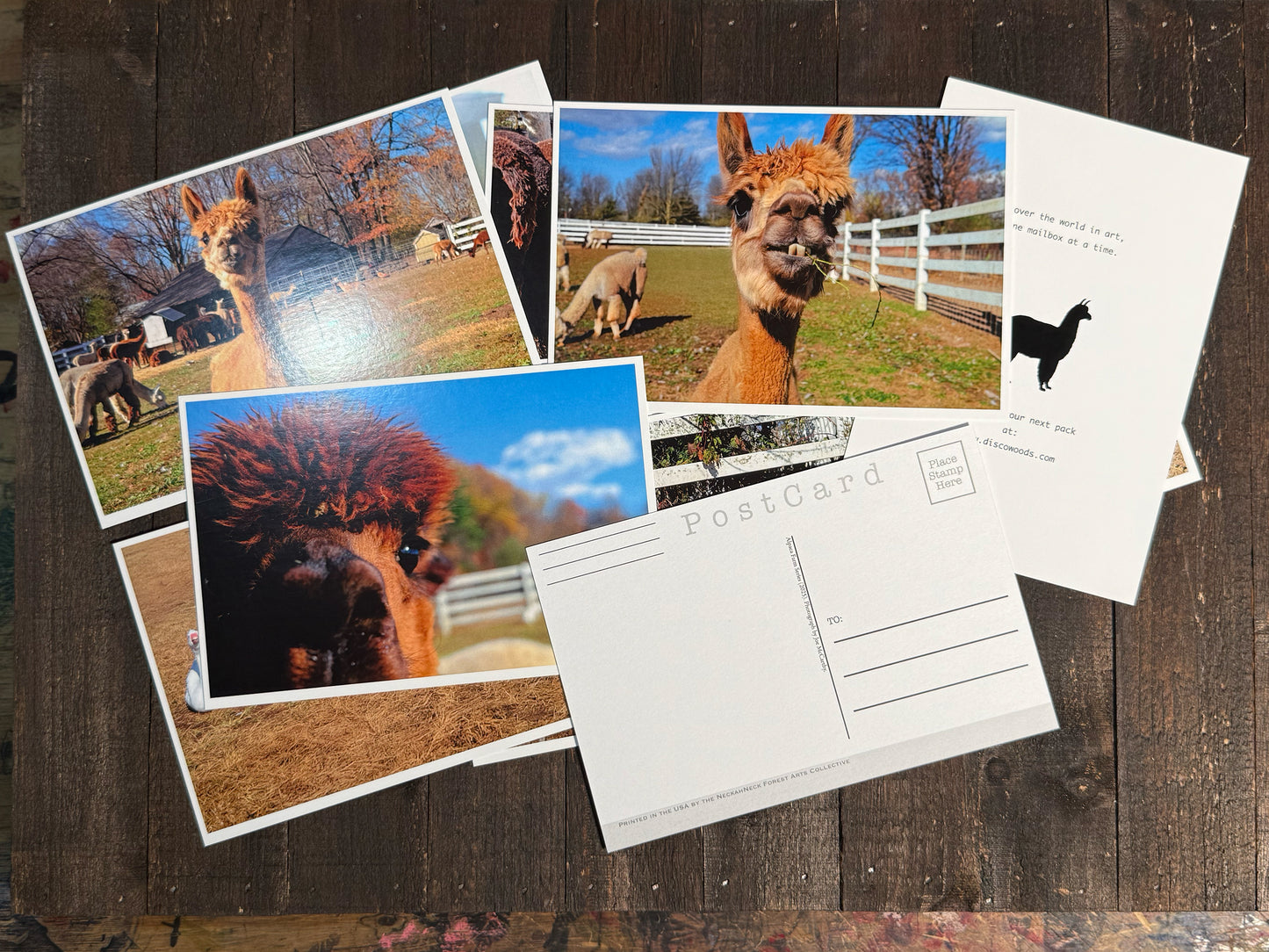 Alpaca Farm Postcards - Set of 10