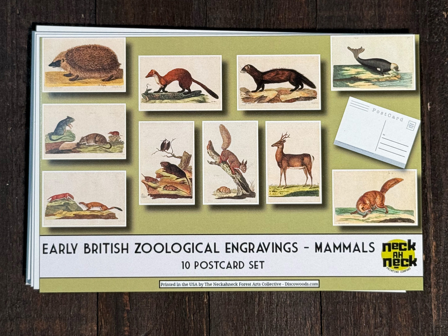 Vintage Mammals Postcards - Set of 10
