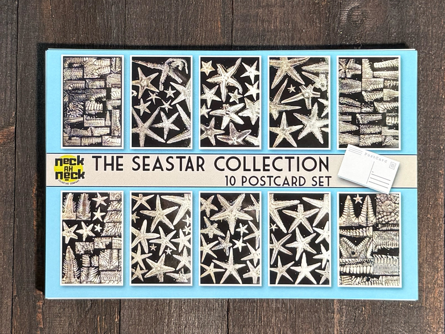 Antique Seastar Scientific Illustrations Postcards - Set of 10